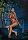 Bracli DARK BRA 15