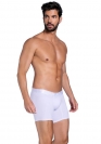 Babalu BOXER 18551 16